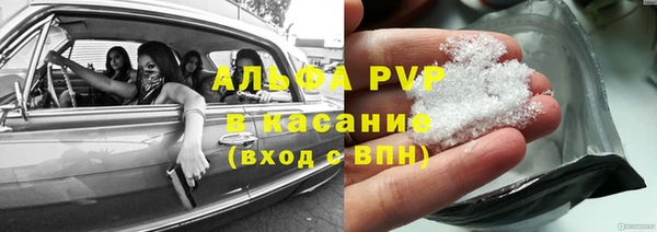 трава Аркадак