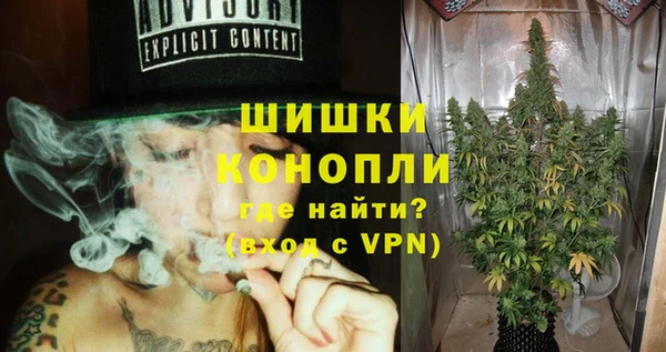 трава Аркадак