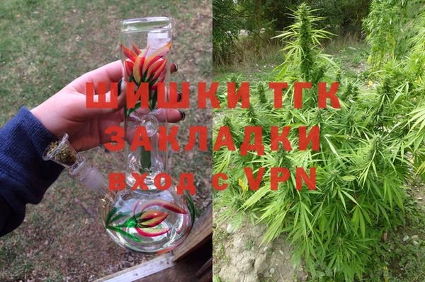 трава Аркадак