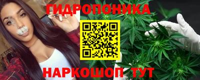 молекула духа Лесосибирск