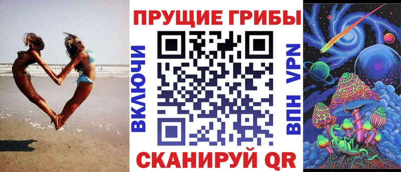 Галлюциногенные грибы Psilocybe  закладки  Раменское 