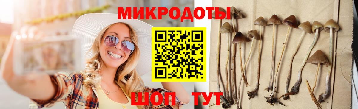 Псилоцибиновые грибы ЛСД Раменское